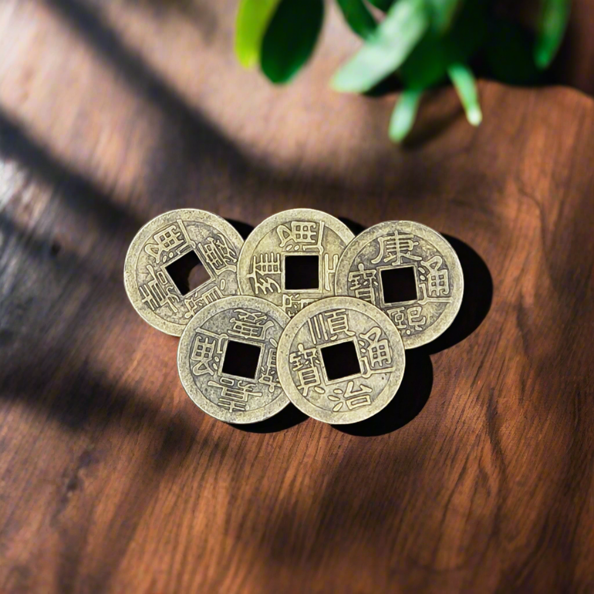 Chinese Lucky Coins