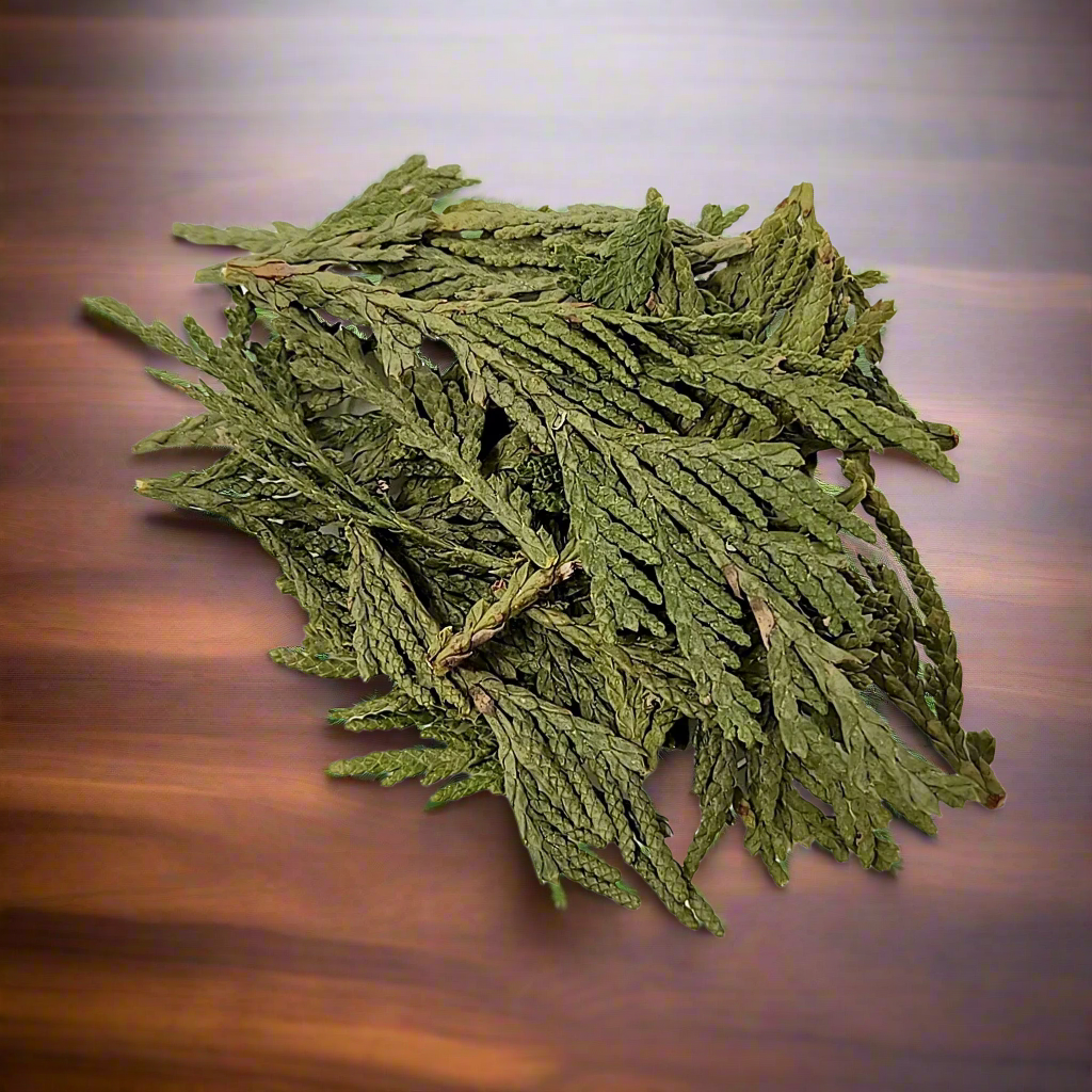 Cedar Leaves and Stems, Wildcrafted