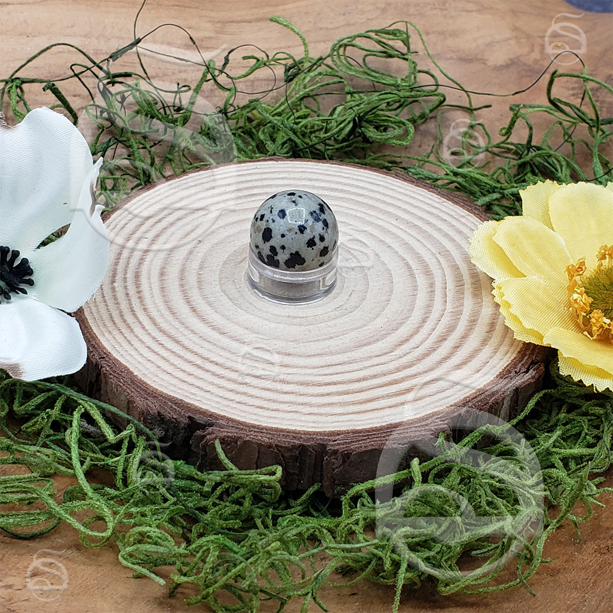 Polished Mini Sphere - Jasper, Dalmatian