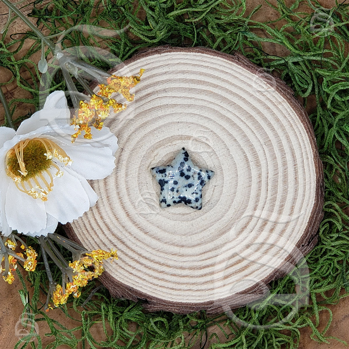 Polished Star Small - Jasper, Dalmatian