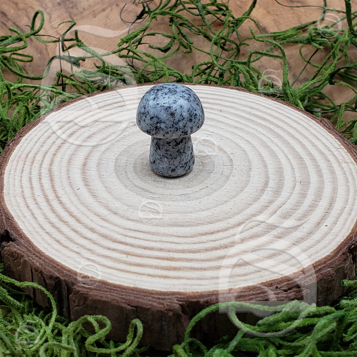 Polished Mushroom - Granite
