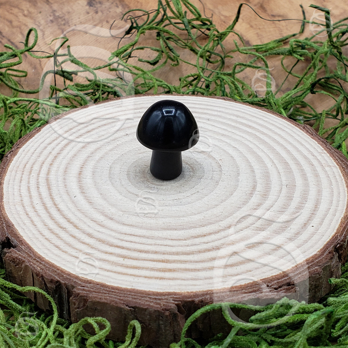 Polished Mushroom - Agate, Black