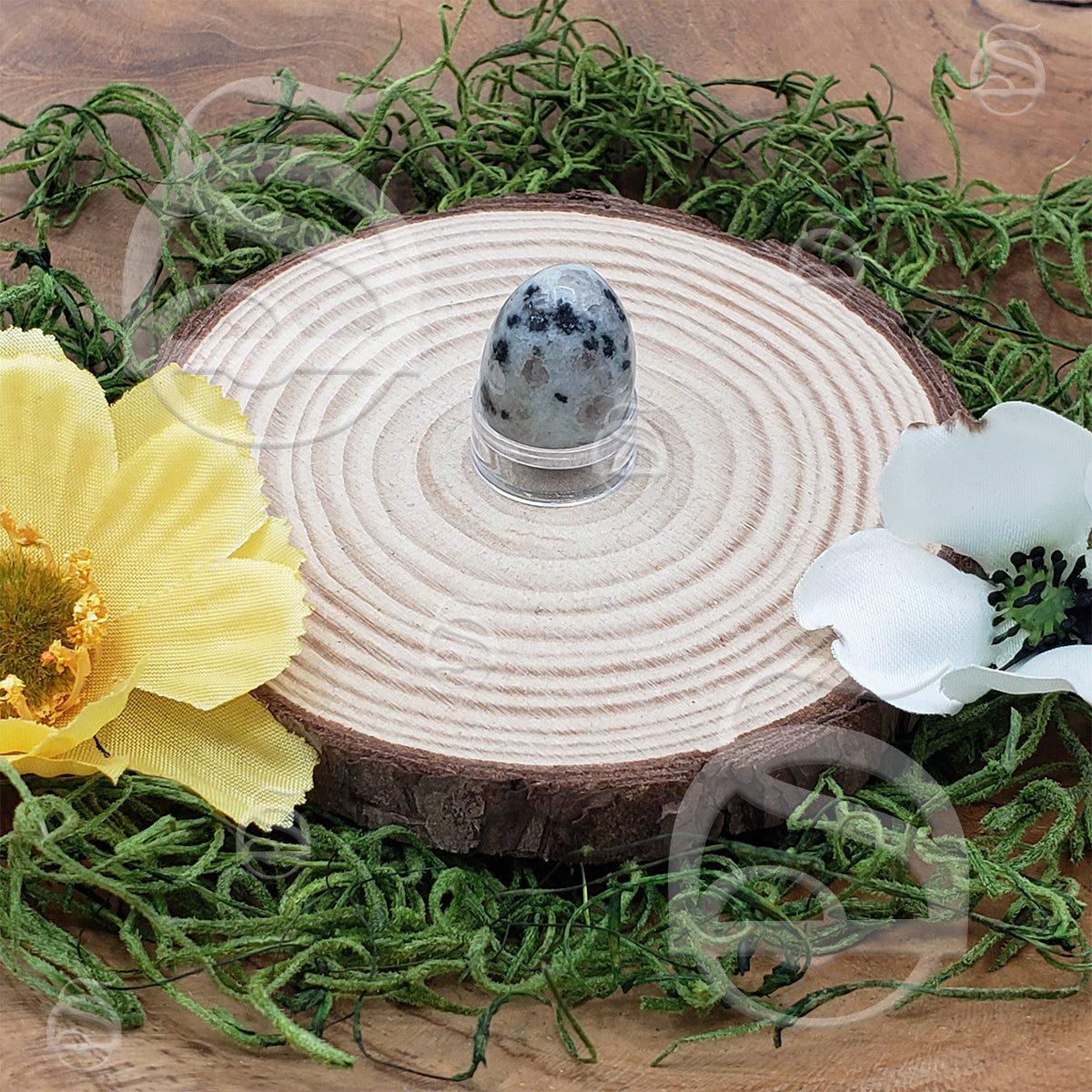 Polished Mini Egg - Jasper, Kiwi