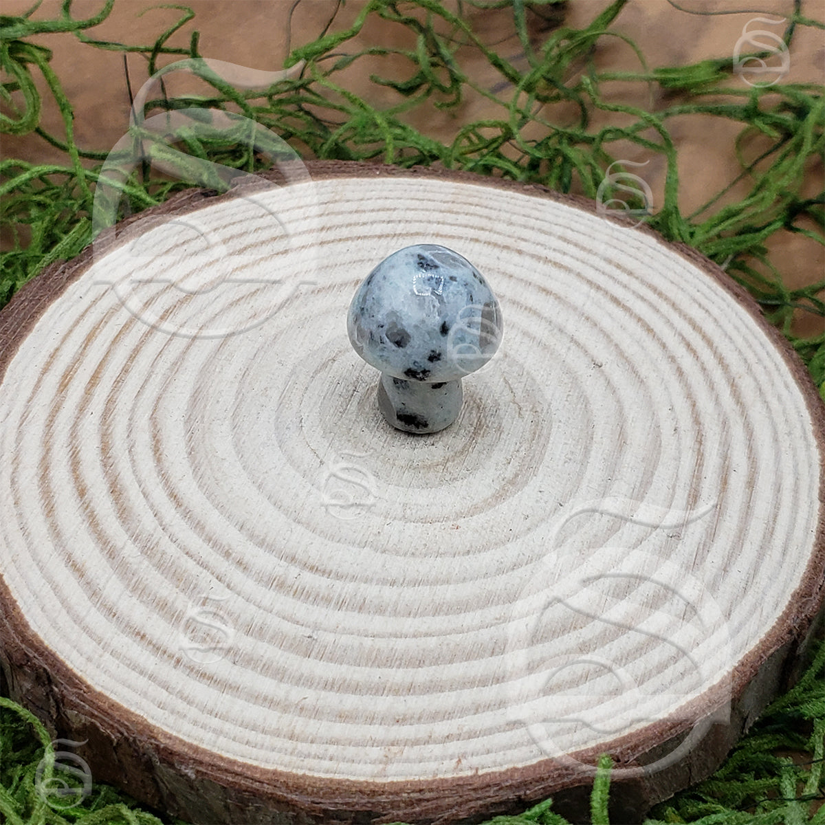 Polished Mushroom - Jasper, Kiwi