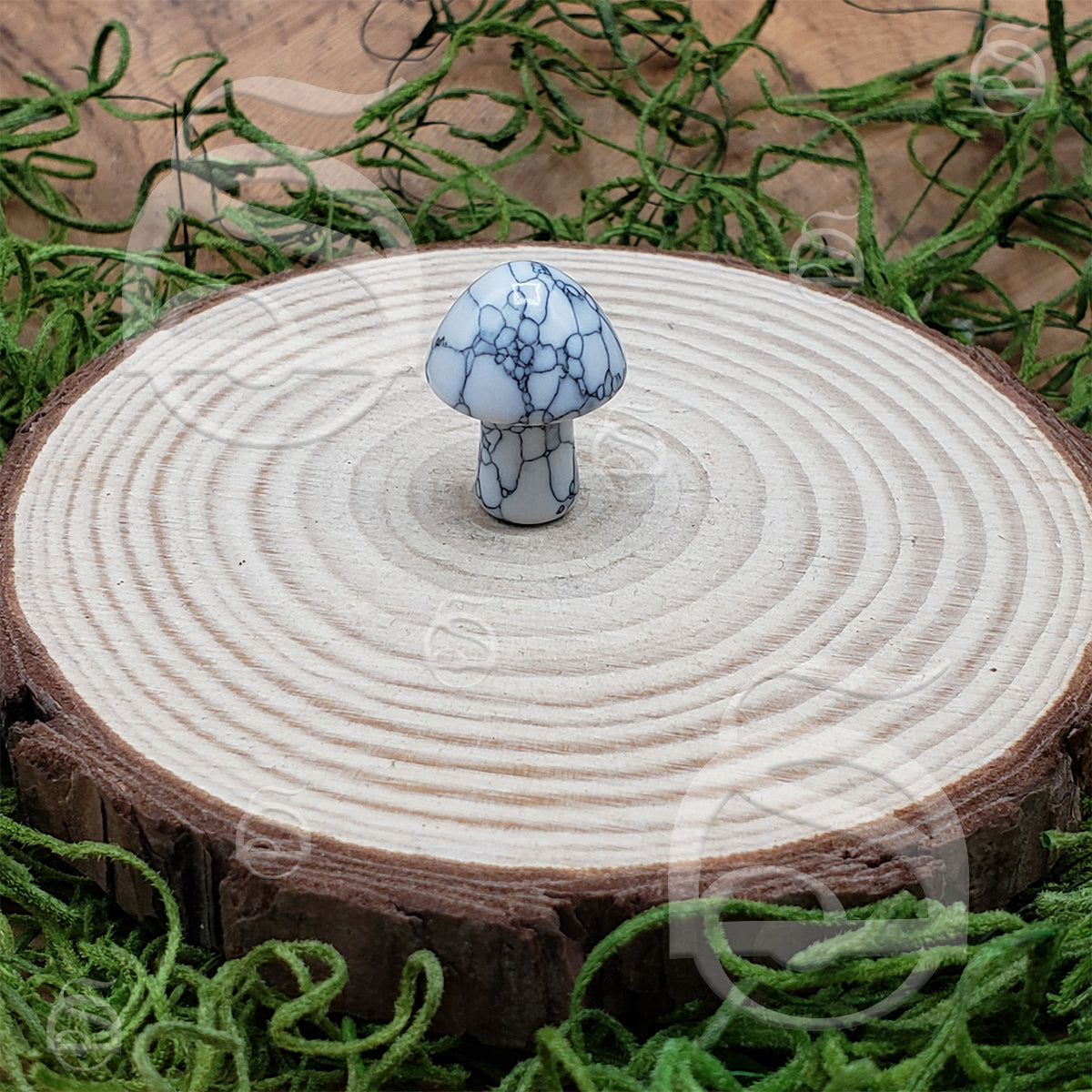 Polished Mushroom - Magnesite