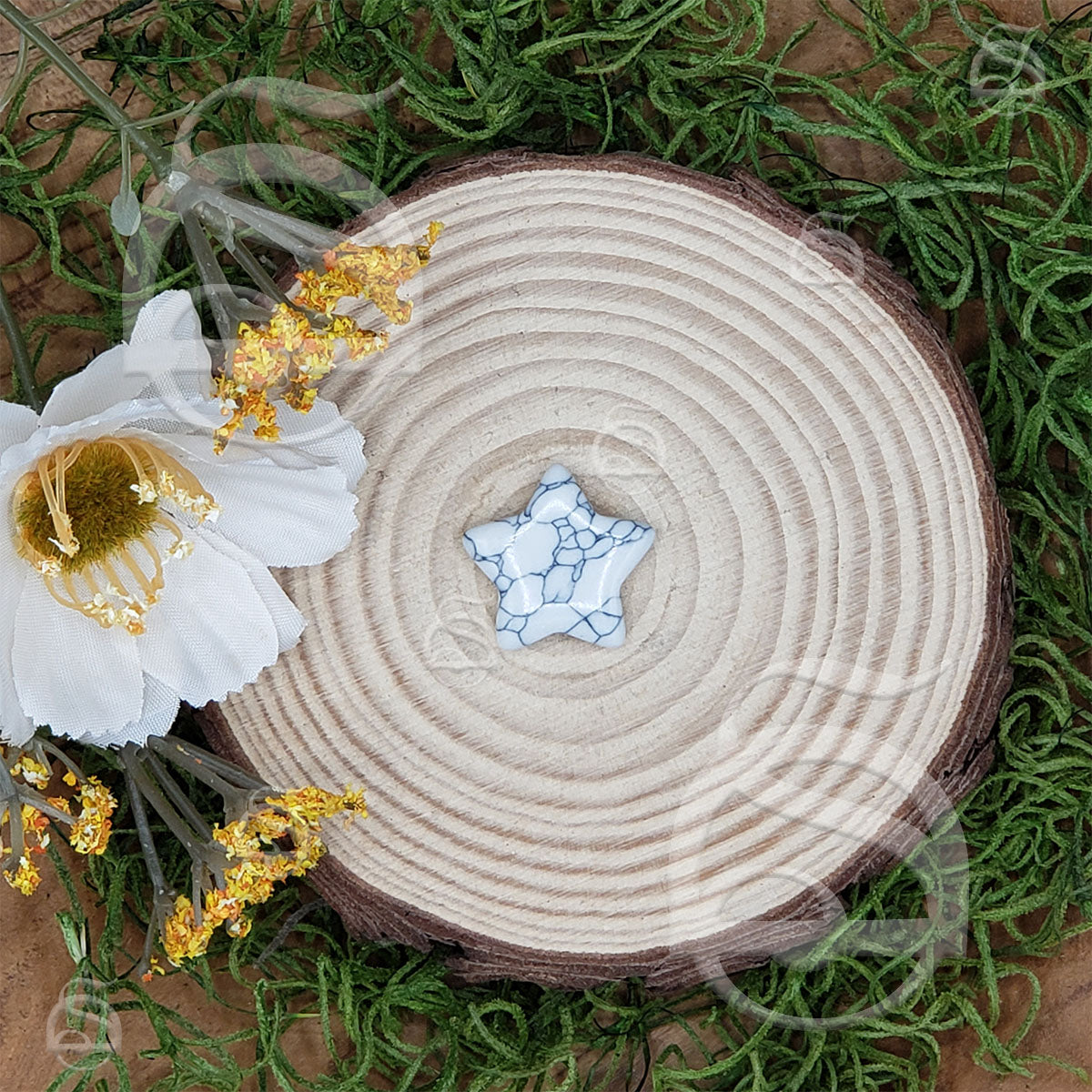 Polished Star Small - Magnesite