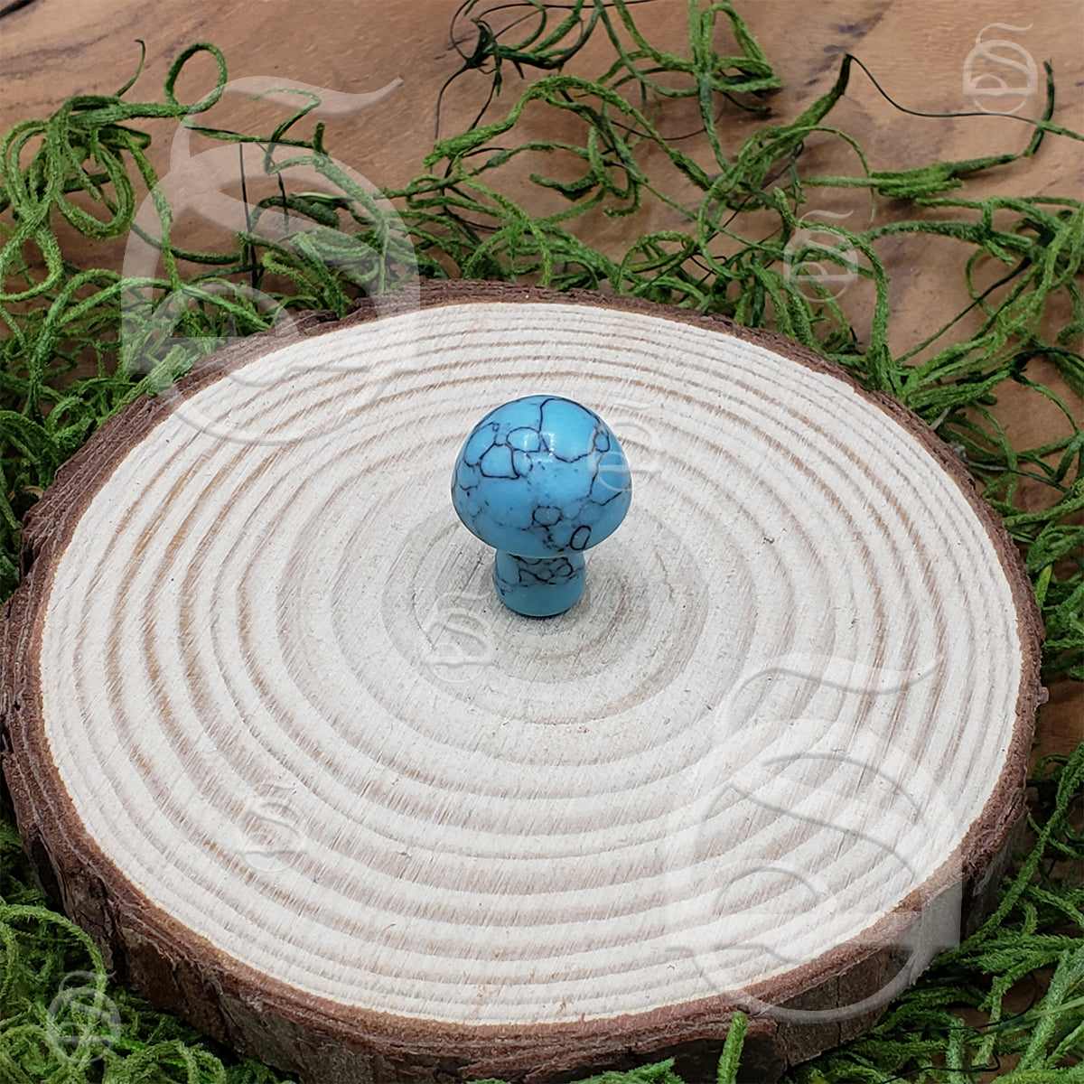 Polished Mushroom - Magnesite