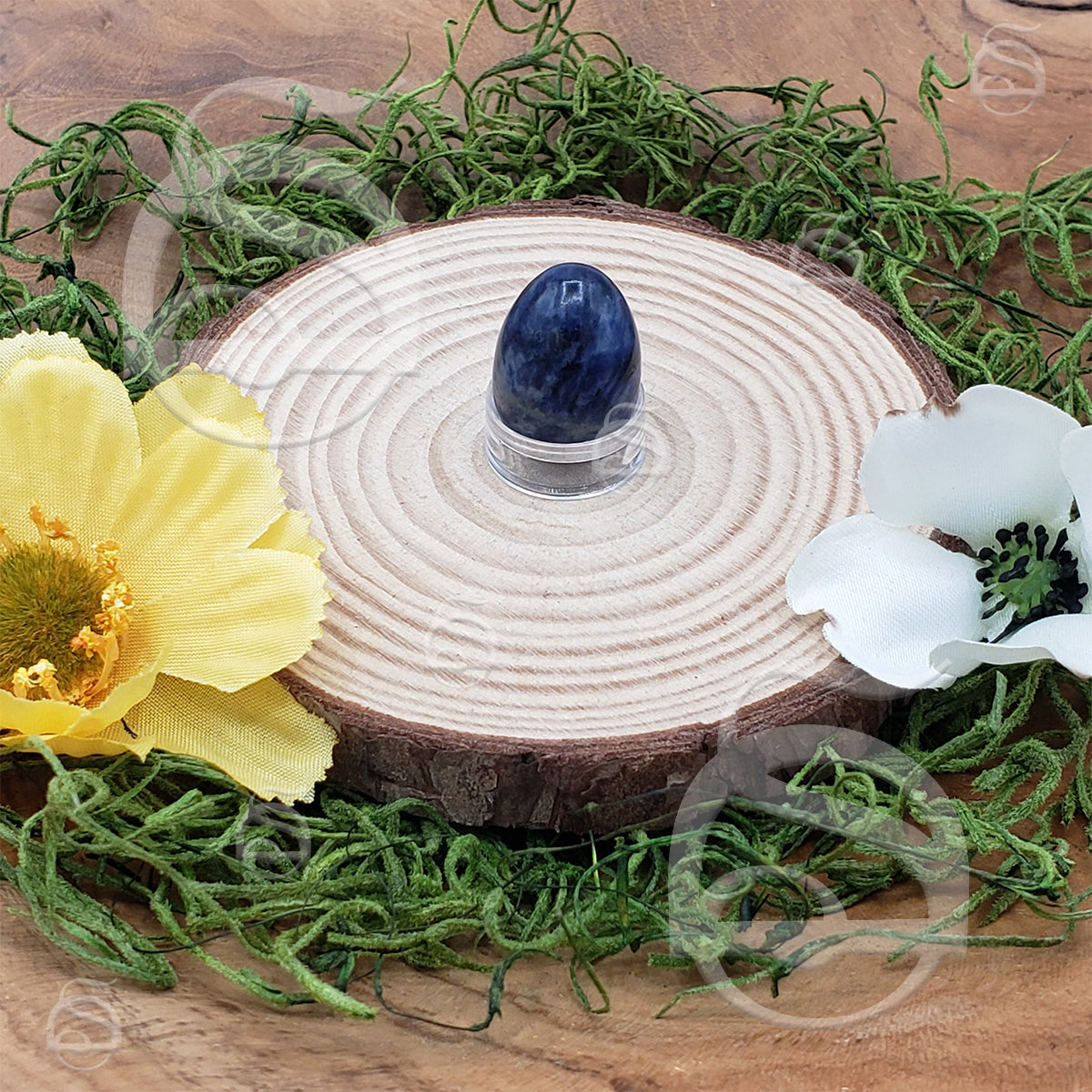 Polished Mini Egg - Sodalite