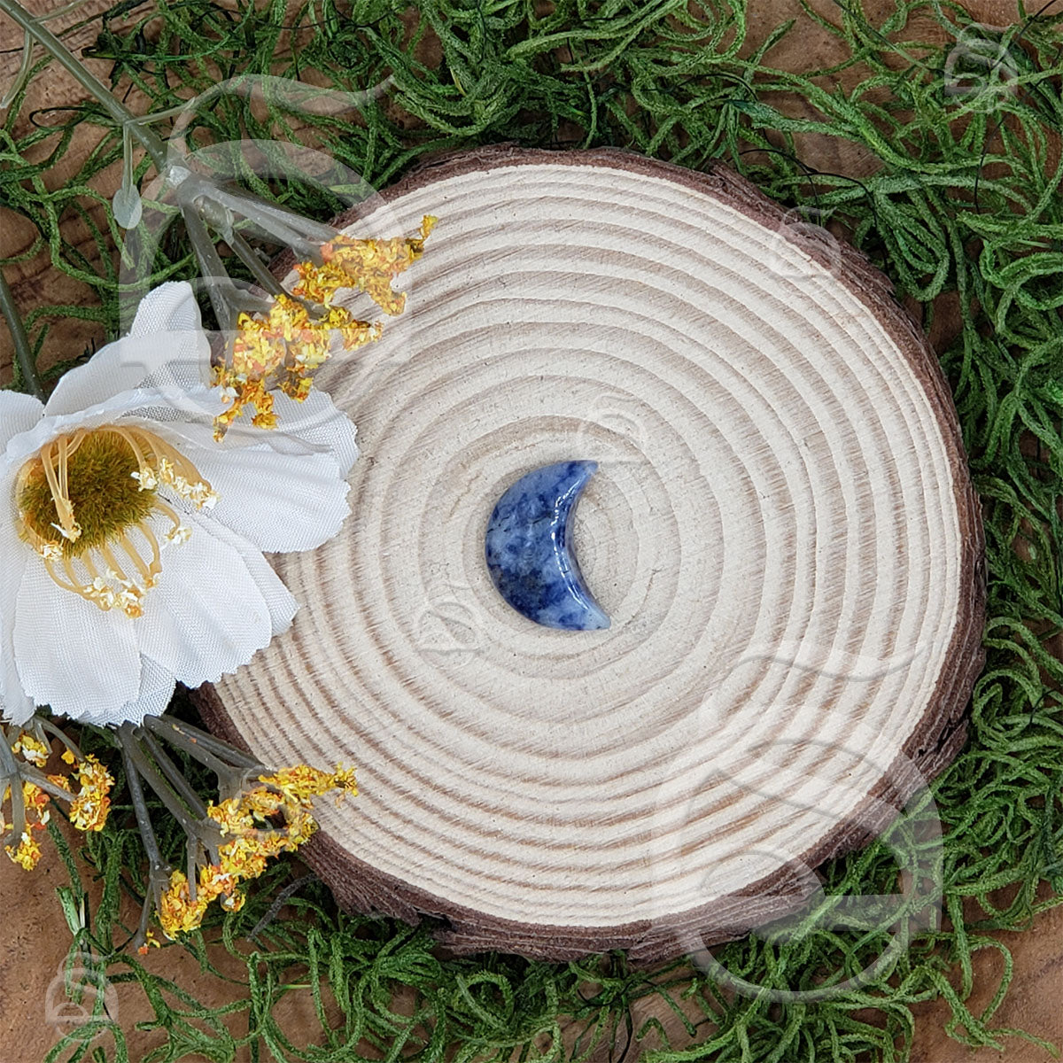 Polished Moon Small - Sodalite
