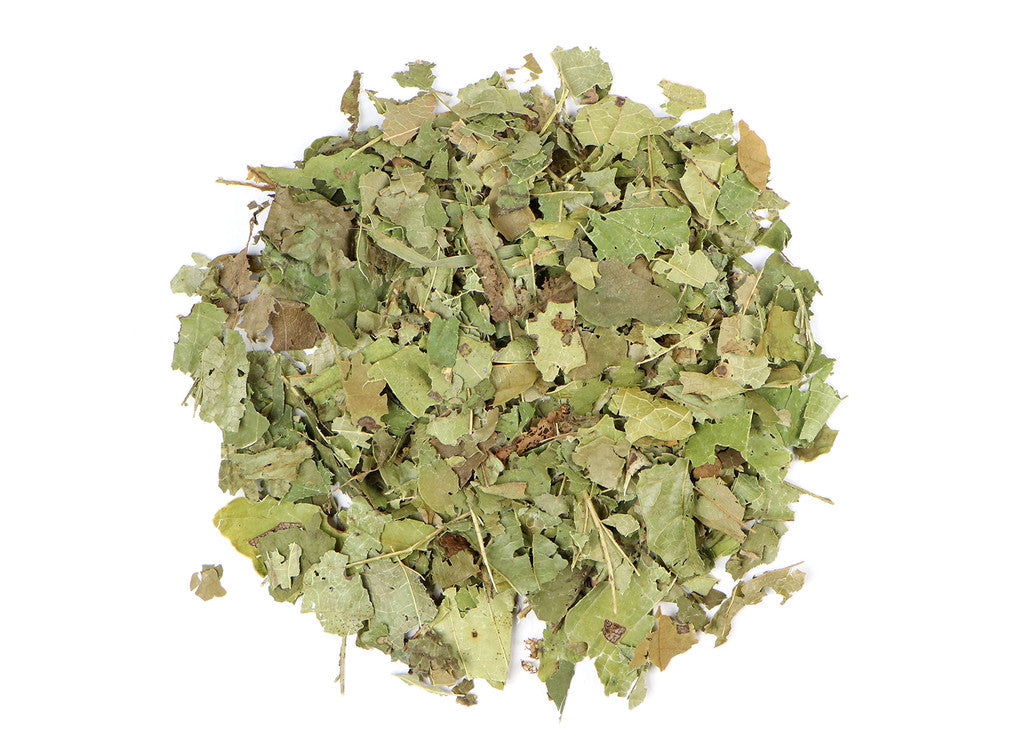 Witch Hazel Leaf - Organic