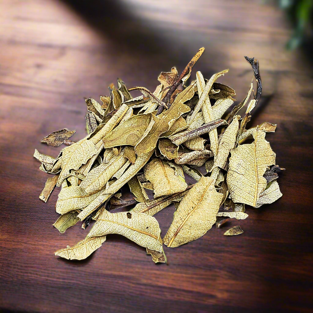Yerba Santa Leaves and Stems, Wildcrafted