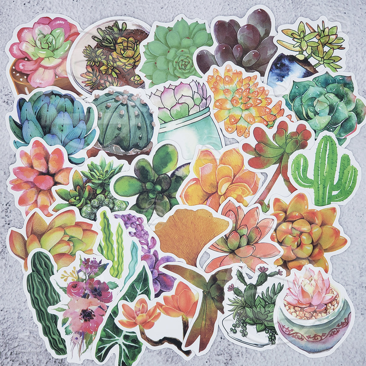 succulent decal Succulents Sticker Set