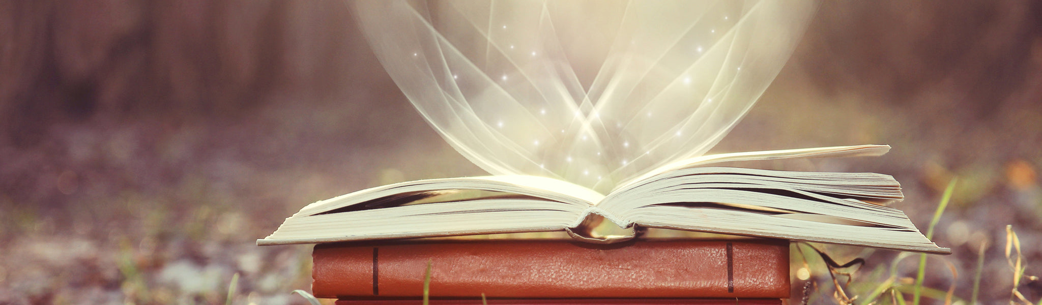 Book Accessories