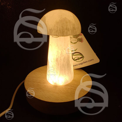 LED Light Base