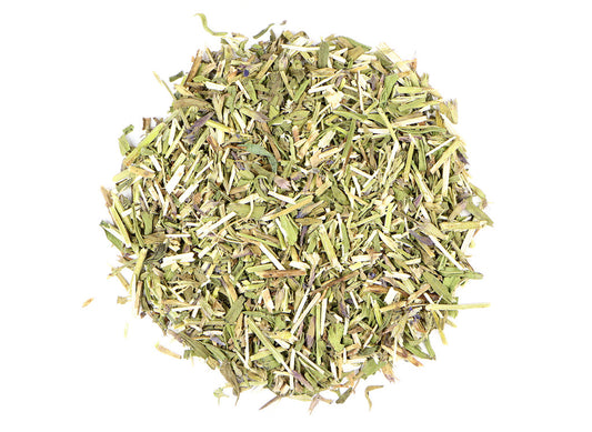 Hyssop - Organic