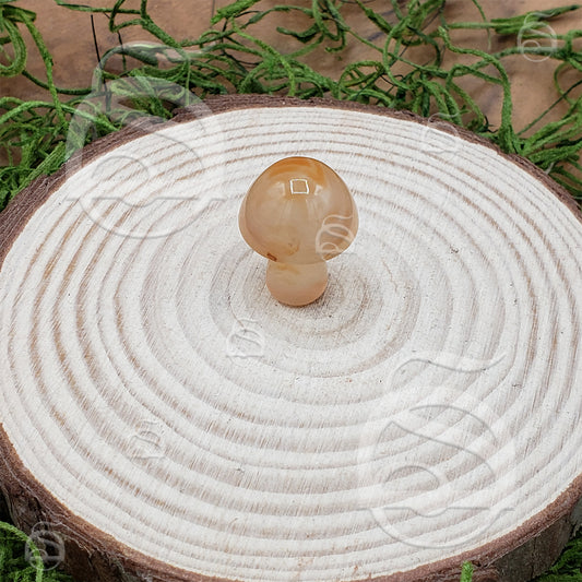 Polished Mushroom - Agate