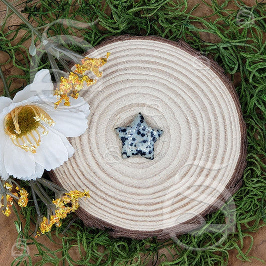 Polished Star Small - Jasper, Dalmatian