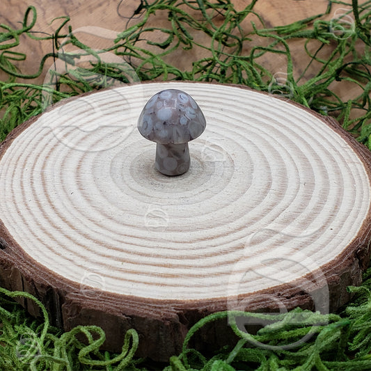 Polished Mushroom - Agate, Flower