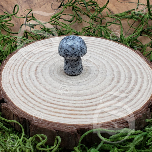 Polished Mushroom - Granite