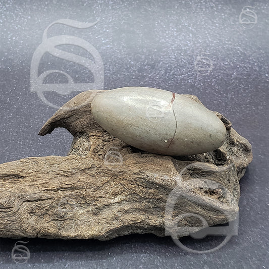 Shiva Lingam - Small Palm Stone