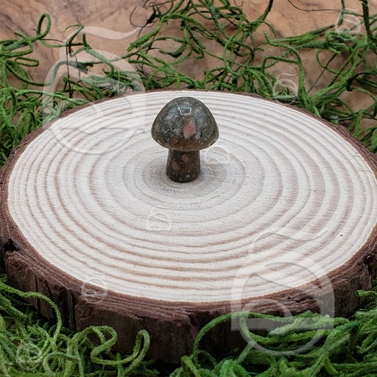 Polished Mushroom - Unakite