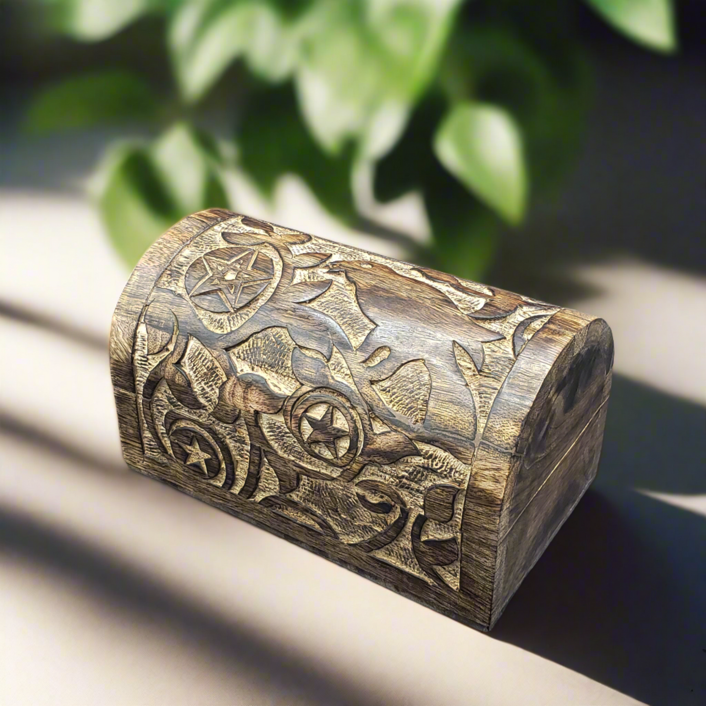 Raven & Pentagram Carved Wood Box