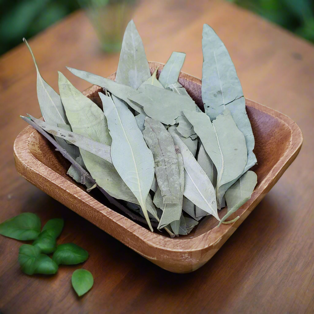 Eucalyptus Leaves and Stems, Wildcrafted