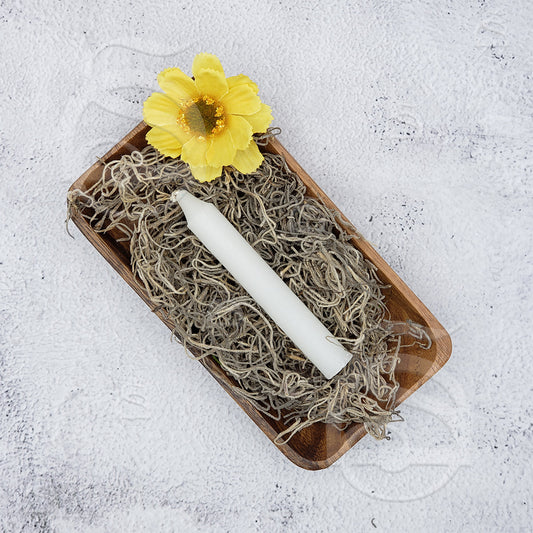 Chime Candles - 4" Unscented White