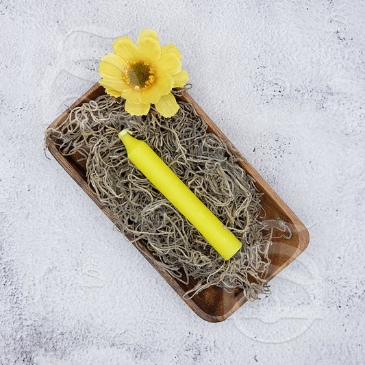 Chime Candles - 4" Unscented Yellow