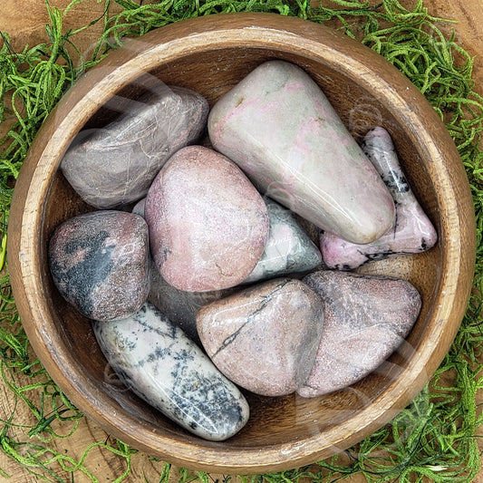 image_5