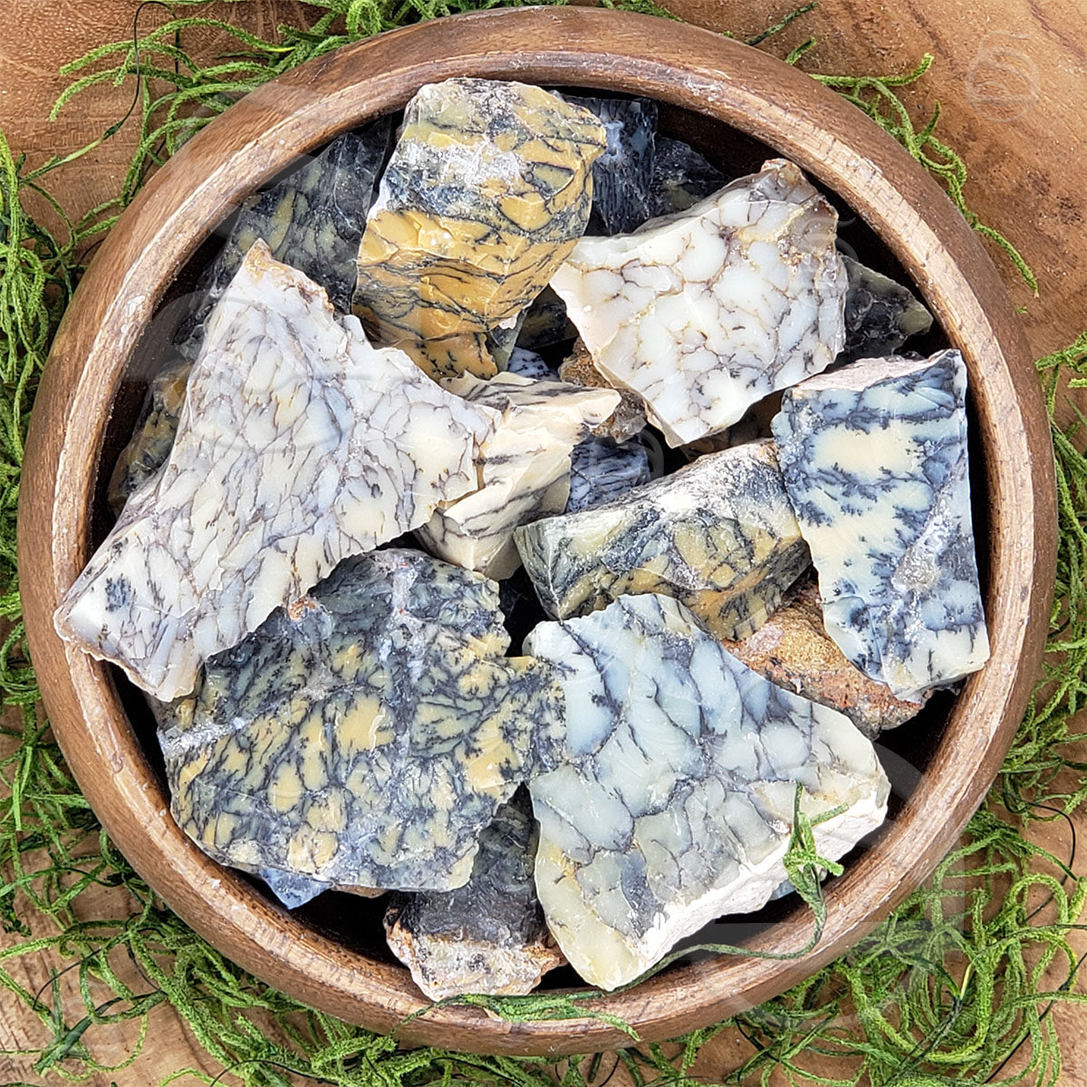 Raw Dendritic Opal – Sage Den