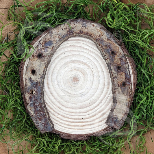image_1