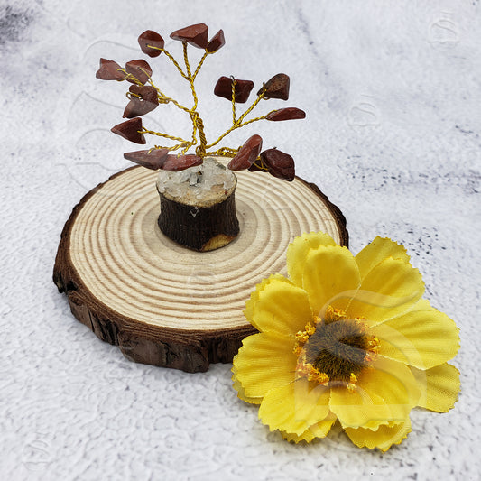 image_7