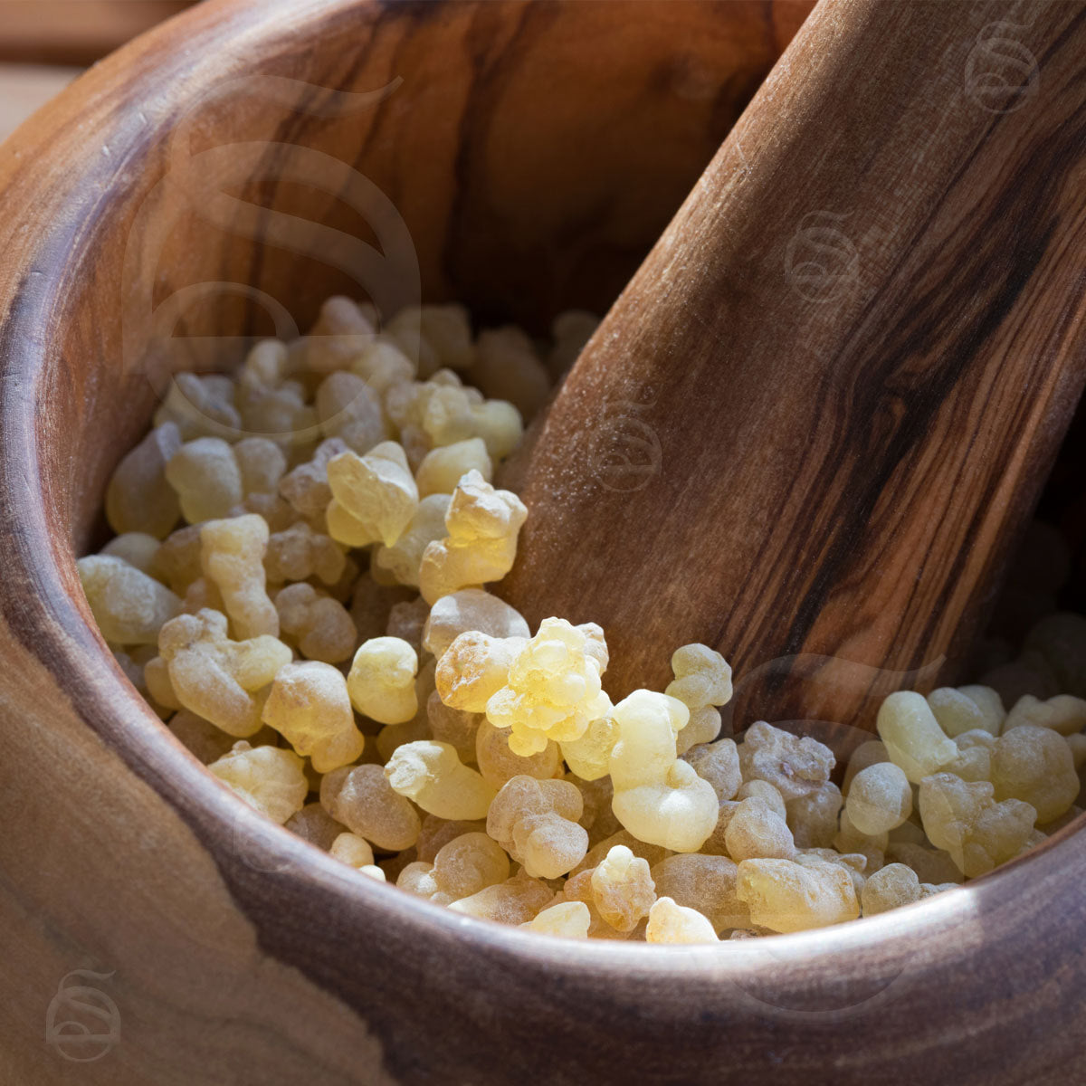 image_3